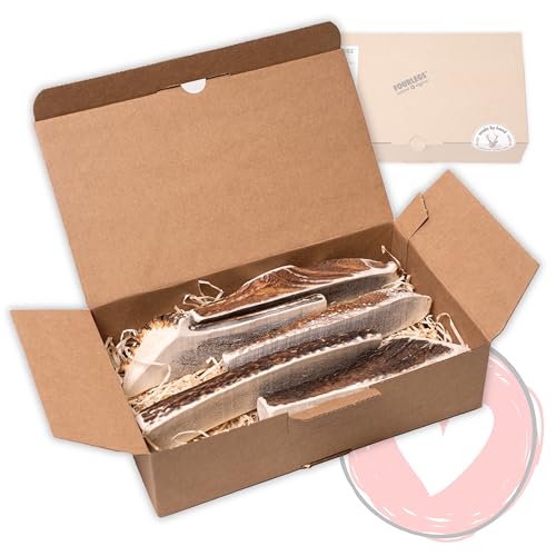 FOURLEGS® natürlicher Kausnack für Hunde aus 100% Hirschgeweih - Mineralstoffe, Kauspielzeug, Kaustange, Wildgeschmack, Geweih, Knochen, Hirsch, Kauartikel - Größe XL halbiert Sparpaket (5 Stück) von FOURLEGS