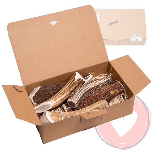 FOURLEGS® natürlicher Kausnack für Hunde aus 100% Hirschgeweih - Mineralstoffe, Kauspielzeug, Kaustange, Wildgeschmack, Geweih, Knochen, Hirsch, Kauartikel - Größe XXL ganz Sparpaket (5 Stück) von FOURLEGS