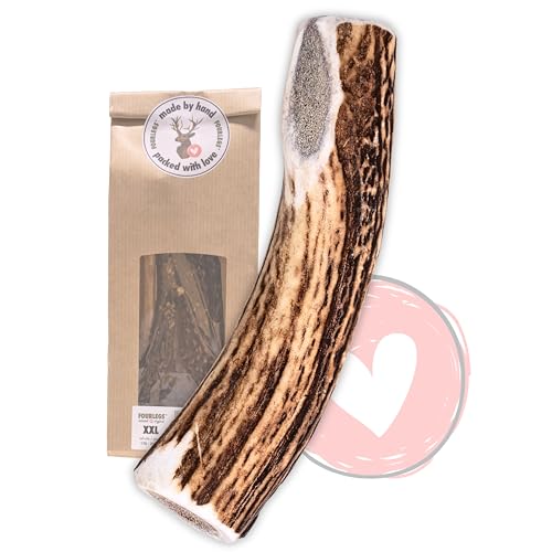 FOURLEGS® natürlicher Kausnack für Hunde aus 100% Hirschgeweih - Mineralstoffe, Kauspielzeug, Kaustange, Wildgeschmack, Geweih, Knochen, Hirsch, Kauartikel - Größe XXL ganz von FOURLEGS