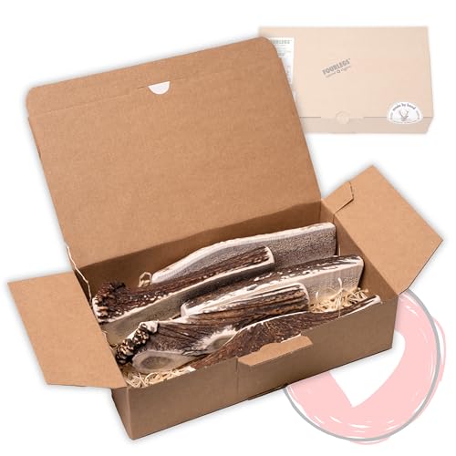FOURLEGS® natürlicher Kausnack für Hunde aus 100% Hirschgeweih - Mineralstoffe, Kauspielzeug, Kaustange, Wildgeschmack, Geweih, Knochen, Hirsch, Kauartikel - Größe XXL halbiert Sparpaket (5 Stück) von FOURLEGS