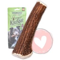 FOURLEGS ® Kauspaß für Hunde aus 100% Hirschgeweih GANZ von FOURLEGS