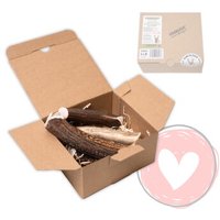 FOURLEGS ® Kauspaß für Hunde aus 100% Hirschgeweih GANZ von FOURLEGS