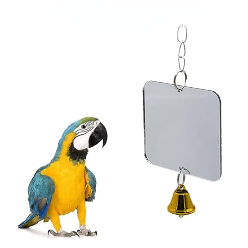 FOUTP Papageien Spiegel,Vogel Acryl Zubehör Spiegel mit Glocke,Wellensittich Sittich Hängende Spiegel Käfig DekorationFür Budgie sittich nymphenarme FOUTP Papageien Spiegel,Vogel Acryl Zubehör Spiegel mit Glocke,Wellensittich Sittich Hängende Spiegel Käfig DekorationFür Budgie sittich nymphenarme von FOUTP