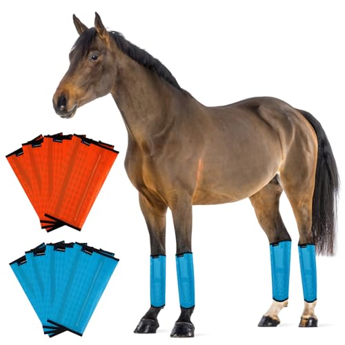 FOXLVDA Fliegenstiefel aus Netzstoff, atmungsaktiver Schutz, 8 Stück, Pferdebeinbandagen, Pferdebedarf für mittelgroße bis große Pferde, reduziert Stress und Ermüdung der Beine (Blau-Orange, L) von FOXLVDA