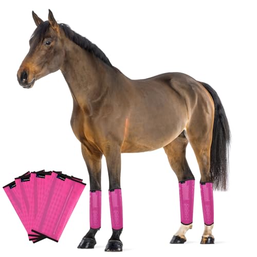 FOXLVDA Fliegenstiefel für Pferde, 4 Stück, bequeme Pferde-Leggings, Netzmaterial-Design mit Metall-Stützstangen, Pferdestiefel zur Reduzierung von Stomping und Ermüdung der Beine (Rosa, Medium) von FOXLVDA