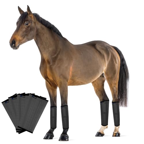 FOXLVDA Fliegenstiefel für Pferde, 4 Stück, bequeme Pony-Leggings, atmungsaktives Netzmaterial, reduziert Stress und Ermüdung der Beine, Pferdebedarf (dunkelgrau, mittel) von FOXLVDA
