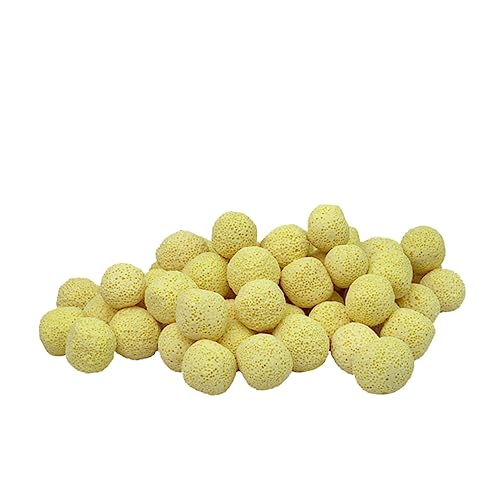 FRCOLOR Aquarium Teich 500ml Set Fisch Tank Bord Reinigung Bälle Für Süßwasser Aquarien FRCOLOR Aquarium Teich 500ml Set Fisch Tank Bord Reinigung Bälle Für Süßwasser Aquarien von FRCOLOR