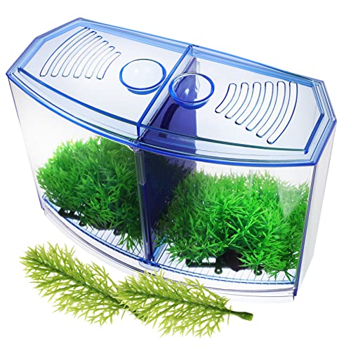 FRCOLOR 1 Set Mit Fischtanks Aus Kunststoff Fischzuchtbox Desktop-fischtank Kunstpflanzen Stapelbarem Fischtank Aquarium-Tank-kit Für Die Desktop-Dekoration FRCOLOR 1 Set Mit Fischtanks Aus Kunststoff Fischzuchtbox Desktop-fischtank Kunstpflanzen Stapelbarem Fischtank Aquarium-Tank-kit Für Die Desktop-Dekoration von FRCOLOR