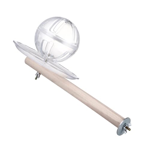 FRCOLOR 1 Satz Futterstelle für Papageien Wellensittich, der Spielzeug sucht klares Futterrad Vogel Fütterer Spielzeuge Spielzeug für Papagei Vogelfütterer Vogelkäfig Holz FRCOLOR 1 Satz Futterstelle für Papageien Wellensittich, der Spielzeug sucht klares Futterrad Vogel Fütterer Spielzeuge Spielzeug für Papagei Vogelfütterer Vogelkäfig Holz von FRCOLOR