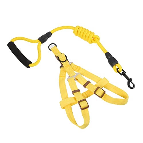 FRCOLOR Nylon-hundeleine Hund Und Leine Set Für Welpen Große Hunde Dog Walking Kit FRCOLOR Nylon-hundeleine Hund Und Leine Set Für Welpen Große Hunde Dog Walking Kit von FRCOLOR