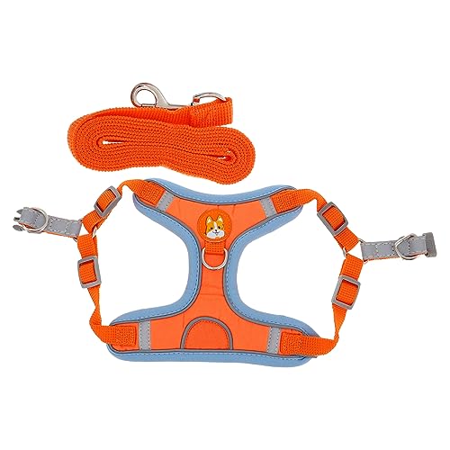 FRCOLOR 1 Satz Transportbox Für Haustiere Katze Jacke Geschirr Kätzchen-geschirrgurt Brustgurt Für Katzen Hundegeschirr Für Große Hunde Outdoor Hundegeschirr Lederetui Tuch Hündchen FRCOLOR 1 Satz Transportbox Für Haustiere Katze Jacke Geschirr Kätzchen-geschirrgurt Brustgurt Für Katzen Hundegeschirr Für Große Hunde Outdoor Hundegeschirr Lederetui Tuch Hündchen von FRCOLOR