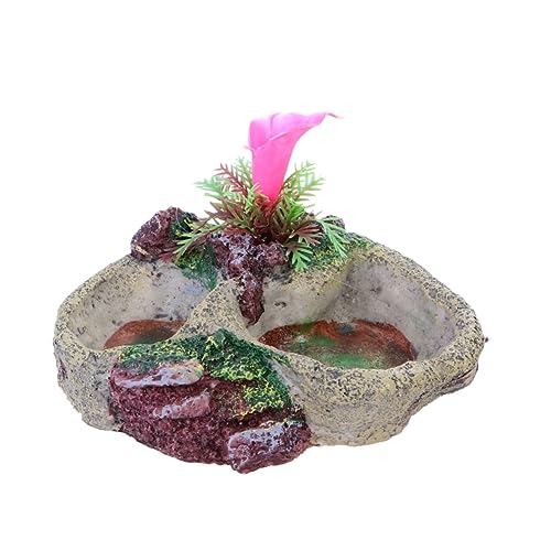FRCOLOR 1 schildkröte Turtle Terrarium Echse Kriechschüssel Terrarium Behälter für Lebensmittelgläser großer Futterbehälter Tier Panzer Trinkschale Zubehör FRCOLOR 1 schildkröte Turtle Terrarium Echse Kriechschüssel Terrarium Behälter für Lebensmittelgläser großer Futterbehälter Tier Panzer Trinkschale Zubehör von FRCOLOR