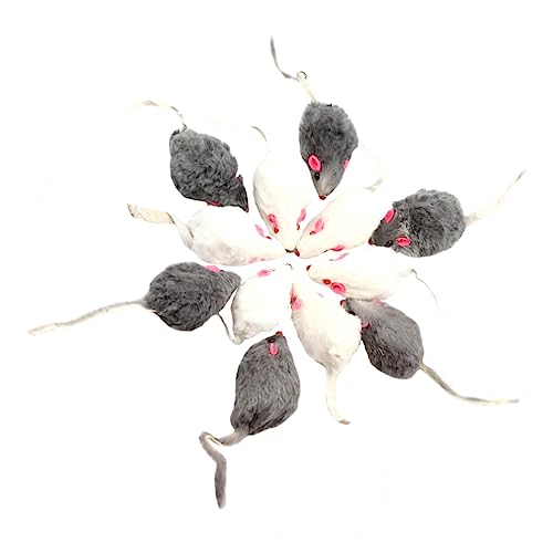 FRCOLOR 12stücke Teiliges Katzenspielzeug Interaktive Mäuse Aus Sicherem Strapazierfähigem Material Für Kätzchen Und Kleine Hunde Fördert Das Spielen Interaktion Mit Ihrem Haustier FRCOLOR 12stücke Teiliges Katzenspielzeug Interaktive Mäuse Aus Sicherem Strapazierfähigem Material Für Kätzchen Und Kleine Hunde Fördert Das Spielen Interaktion Mit Ihrem Haustier von FRCOLOR