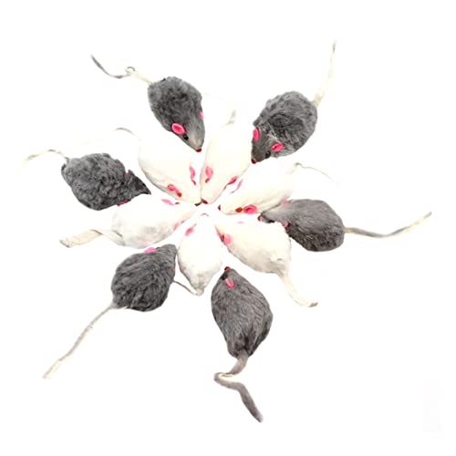 FRCOLOR 12stücke Teiliges Katzenspielzeug Mit Interaktiven Spielzeugen Mäuse-Design Fördert Spiel Und Für Katzen Und Langlebig Für Indoor-aktivitäten FRCOLOR 12stücke Teiliges Katzenspielzeug Mit Interaktiven Spielzeugen Mäuse-Design Fördert Spiel Und Für Katzen Und Langlebig Für Indoor-aktivitäten von FRCOLOR