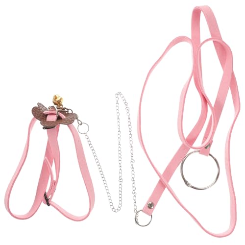 FRCOLOR Schildkröte Haustier Schildkröte Walking Leine Pet Supplies Zugseil für Outdoor-Abenteuer FRCOLOR Schildkröte Haustier Schildkröte Walking Leine Pet Supplies Zugseil für Outdoor-Abenteuer von FRCOLOR