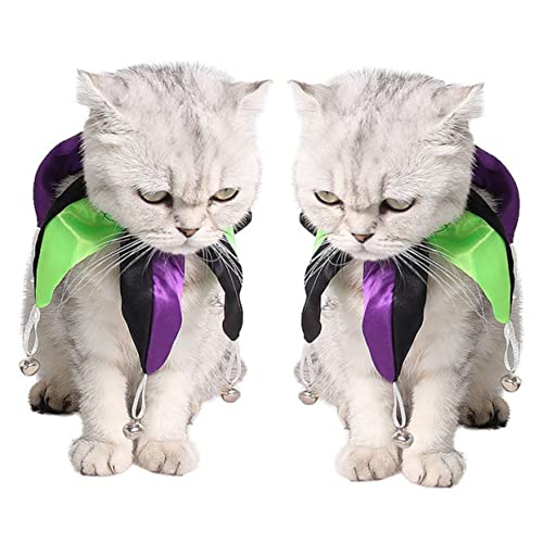 FRCOLOR 2 STK Halloween-Haustierbedarf Halloween-Haustierkostü Halloween Halsband für Haustiere Kleidung Kleider Halskragen Halloween-Kragen Hut Schal Regenbogenkatze Haustierzubehör FRCOLOR 2 STK Halloween-Haustierbedarf Halloween-Haustierkostü Halloween Halsband für Haustiere Kleidung Kleider Halskragen Halloween-Kragen Hut Schal Regenbogenkatze Haustierzubehör von FRCOLOR