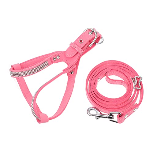 FRCOLOR 2 Sätze Haustier Geschirr Haustiergeschirr Aus Mikrofaser Katzenhalsband Hemden Mit Offenem Rücken Rückenfreies Hemd Trainingsgeschirr Outdoor-Weste Hundeweste Hündchen Requisiten FRCOLOR 2 Sätze Haustier Geschirr Haustiergeschirr Aus Mikrofaser Katzenhalsband Hemden Mit Offenem Rücken Rückenfreies Hemd Trainingsgeschirr Outdoor-Weste Hundeweste Hündchen Requisiten von FRCOLOR
