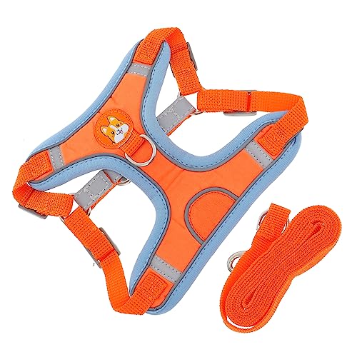 FRCOLOR 2 Sätze Transportbox Für Haustiere Tragen- Katze Jacke Geschirr Katze Zieht Seil Kleintiergeschirr Gehweste Für Haustiere Diensthundegeschirr Service Hund Joggen Kordelzug Tuch FRCOLOR 2 Sätze Transportbox Für Haustiere Tragen- Katze Jacke Geschirr Katze Zieht Seil Kleintiergeschirr Gehweste Für Haustiere Diensthundegeschirr Service Hund Joggen Kordelzug Tuch von FRCOLOR