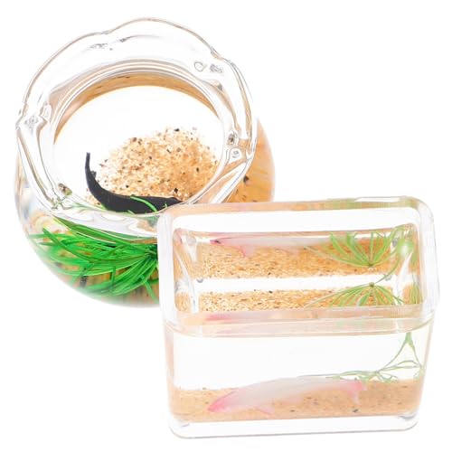 FRCOLOR 2 Stück Miniatur Aquarium Fisch Tank für Puppenhaus Dekoration für Miniaturzimmer Zufällige Fischfarbe Langlebiges Mini Zubehör aus Zufällige Farbe Zufällige Farbe FRCOLOR 2 Stück Miniatur Aquarium Fisch Tank für Puppenhaus Dekoration für Miniaturzimmer Zufällige Fischfarbe Langlebiges Mini Zubehör aus Zufällige Farbe Zufällige Farbe von FRCOLOR