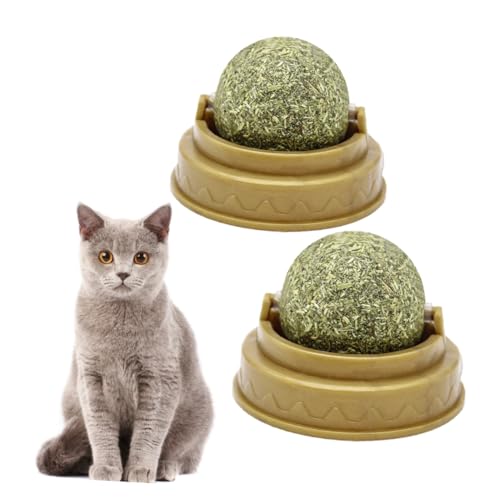 FRCOLOR 2St Health Wellness Goldfisch-Spielzeug Katze Zuckerkugel Leckereien für Katzen Katzenminze Katzenbissball Backenzahn Snack Beißen Sie den Ball rotieren Minzkugeln von FRCOLOR