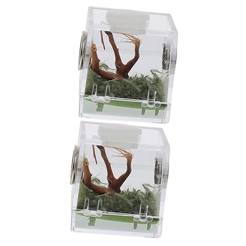 FRCOLOR 2er-Box Springspinnen-zuchtbox Glas-Container Schlangenhäute Für Königspythons Futterkasten Für Insekten Springender Spinnenkäfig Insektenbehälter Gefängnisausbruch Acryl Reptil von FRCOLOR