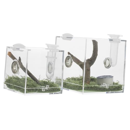 FRCOLOR 2er-Box Springspinnen-zuchtbox Spinnen-habitatbox Mikro-Habitat-terrarien Fall Der Spinnenzucht Zuchtbox Für Reptilien Schneckencontainerhaus Spinnengehäuse Bodenkäfig Glas Acryl FRCOLOR 2er-Box Springspinnen-zuchtbox Spinnen-habitatbox Mikro-Habitat-terrarien Fall Der Spinnenzucht Zuchtbox Für Reptilien Schneckencontainerhaus Spinnengehäuse Bodenkäfig Glas Acryl von FRCOLOR