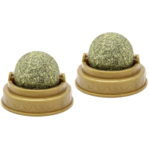 FRCOLOR 2stücke Katzenminze Lutschball Für Katzen Spherischer Snack Verdauung Sicher Für Und Zahnfleisch Einfach An Glatten Oberflächen Zu Leckere Süßigkeit Für Spielerische Katzen FRCOLOR 2stücke Katzenminze Lutschball Für Katzen Spherischer Snack Verdauung Sicher Für Und Zahnfleisch Einfach An Glatten Oberflächen Zu Leckere Süßigkeit Für Spielerische Katzen von FRCOLOR