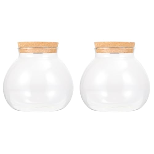 FRCOLOR 2st Landschaftsflasche Landschaft Flasche Ökologisches Displayglas Led-glasflasche Ökologisches Aquarium Fischschalen Aus Glas Für Betta-Fische Klein Weiß Anlage Holz 3D Blumen von FRCOLOR