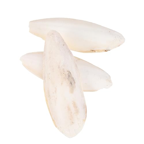 FRCOLOR Sittich 3 STK Fischtunnel für Aquarien Pet Bite Cuttlebone Kauspielzeug Spielzeuge Knochen Haustierbiss Sepia Cuttlebone molares kauen Käfig Skelett Vögel Snack FRCOLOR Sittich 3 STK Fischtunnel für Aquarien Pet Bite Cuttlebone Kauspielzeug Spielzeuge Knochen Haustierbiss Sepia Cuttlebone molares kauen Käfig Skelett Vögel Snack von FRCOLOR