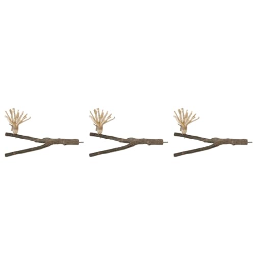 FRCOLOR 3 Stücke String Vogel Hause Dekoration Papagei Lebensraum Spielzeug Kauen Holz Spielzeug Sittich Käfig Zubehör FRCOLOR 3 Stücke String Vogel Hause Dekoration Papagei Lebensraum Spielzeug Kauen Holz Spielzeug Sittich Käfig Zubehör von FRCOLOR