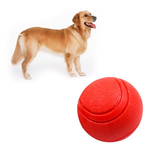 FRCOLOR Hundespielzeug – Elastisches Training – Outdoor-Spielzeug – Leicht Zu Reinigen – Für Alle Hunde Geeignet FRCOLOR Hundespielzeug – Elastisches Training – Outdoor-Spielzeug – Leicht Zu Reinigen – Für Alle Hunde Geeignet von FRCOLOR