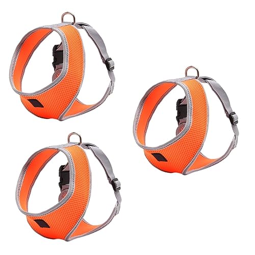 FRCOLOR 3stücke Hundegeschirr Für Katzen Und Hunde Verstellbare Sicherheitsweste Mit Leine Orange Komfortabel Gepolstert Geschirr Für Outdoor-aktivitäten Und Sicheres Fahren Im Auto FRCOLOR 3stücke Hundegeschirr Für Katzen Und Hunde Verstellbare Sicherheitsweste Mit Leine Orange Komfortabel Gepolstert Geschirr Für Outdoor-aktivitäten Und Sicheres Fahren Im Auto von FRCOLOR