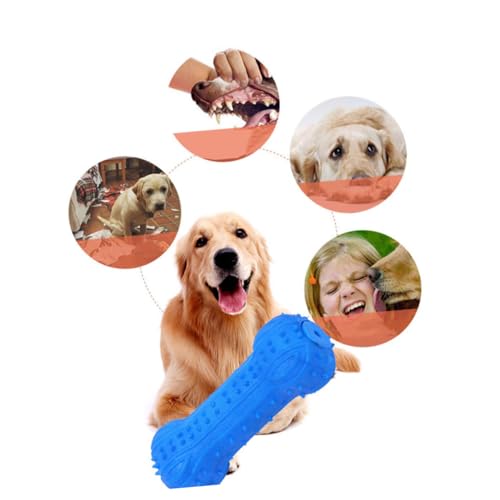 FRCOLOR 5St Hundetrainingszubehör Baby zahnbürste Knochenspielzeug für Welpen Kleines Kauspielzeug für Hunde Spielzeuge gesundes Kauspielzeug Zahnreinigungsspielzeug Haustier Hundebiss von FRCOLOR