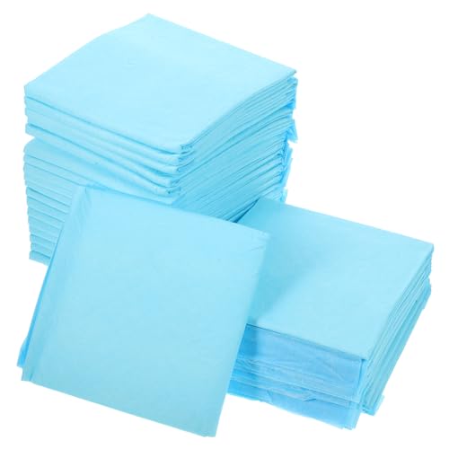 FRCOLOR 50 Stück Hündchen-PIPI-pad Haustier-Pads Trainingsunterlagen Für Welpen Einweg-haustierkissen PIPI-Pads Trainingsunterlage Für Haustiere Urinal Pad Vlies Kleiner Hund Haushalt FRCOLOR 50 Stück Hündchen-PIPI-pad Haustier-Pads Trainingsunterlagen Für Welpen Einweg-haustierkissen PIPI-Pads Trainingsunterlage Für Haustiere Urinal Pad Vlies Kleiner Hund Haushalt von FRCOLOR