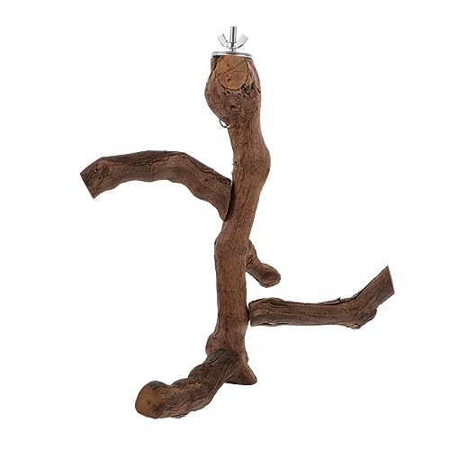 FRCOLOR AST Papageienständer Sitzstangen Aus Naturholz Ara Spielständer Papagei Stehender Stock Taubenbarsch Haustier Leiter Vogelspielzeug Vogel Stehende Stange Papageienvogel Hölzern FRCOLOR AST Papageienständer Sitzstangen Aus Naturholz Ara Spielständer Papagei Stehender Stock Taubenbarsch Haustier Leiter Vogelspielzeug Vogel Stehende Stange Papageienvogel Hölzern von FRCOLOR