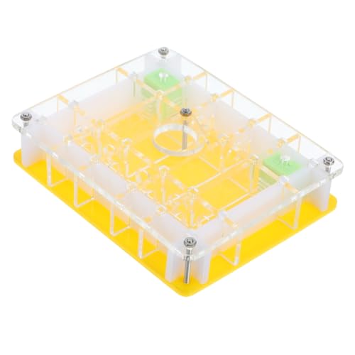 FRCOLOR Acryl mit Feuchtigkeitsturm Ökologische Formicarium Box Leicht zu Reinigen Kompakt für Ameisenfarm Beobachtung Geeignet für Ameisenkolonien und Bildungszwecke von FRCOLOR