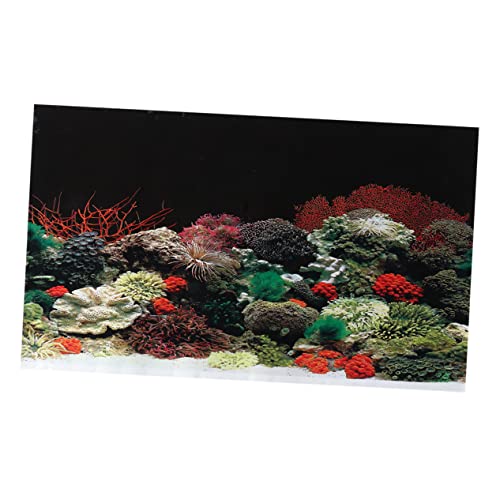 FRCOLOR 3D-Aufkleber doppelseitiger Aufkleber 3D-Dekoration n/A Bodenfilter für Aquarien Easy putz backmattr dekoratives Bild doppelseitiger dekorativer Aufkleber Aquarium schmücken Tapi FRCOLOR 3D-Aufkleber doppelseitiger Aufkleber 3D-Dekoration n/A Bodenfilter für Aquarien Easy putz backmattr dekoratives Bild doppelseitiger dekorativer Aufkleber Aquarium schmücken Tapi von FRCOLOR