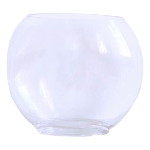FRCOLOR Betta Tank Mini Glas Fisch Tank Desktop Aquarium Fisch Schalen für Betta Fisch Home Decor Tank FRCOLOR Betta Tank Mini Glas Fisch Tank Desktop Aquarium Fisch Schalen für Betta Fisch Home Decor Tank von FRCOLOR