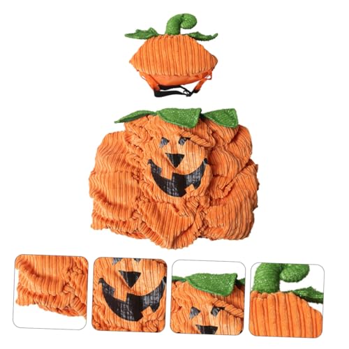 FRCOLOR Halloween Haustierkostüm Weichem Atmungsaktivem Fleece mit Kürbis Muster Wärmend und für Kleine Mittelgroße Tiere bei Halloween Partys FRCOLOR Halloween Haustierkostüm Weichem Atmungsaktivem Fleece mit Kürbis Muster Wärmend und für Kleine Mittelgroße Tiere bei Halloween Partys von FRCOLOR