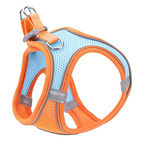 FRCOLOR Hundegeschirr Leine Atmungsaktive Hundeweste Mit Reflektierenden Streifen Für Kleine Hunde Bequemes Verstellbares Katzengeschirr Für Täglichen Gebrauch Und Outdoor-aktivitäten FRCOLOR Hundegeschirr Leine Atmungsaktive Hundeweste Mit Reflektierenden Streifen Für Kleine Hunde Bequemes Verstellbares Katzengeschirr Für Täglichen Gebrauch Und Outdoor-aktivitäten von FRCOLOR