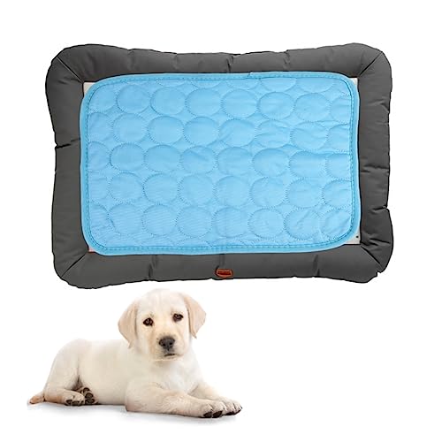 FRCOLOR Kühlkissen Für Hunde Und Katzen Tragbar Für Haustiere 40 X 30 cm Dunkel Für Heiße Tage FRCOLOR Kühlkissen Für Hunde Und Katzen Tragbar Für Haustiere 40 X 30 cm Dunkel Für Heiße Tage von FRCOLOR