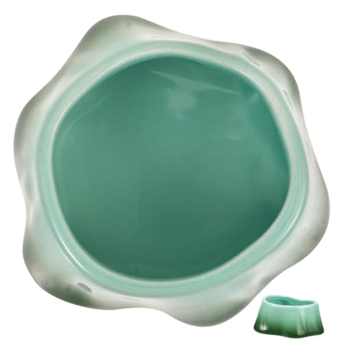 FRCOLOR Haustiernapf Spinnenwasserschalen Wasserfutternapf Chinchilla-futternapf Futternapf Für Schlangen Fressnapf Für Welpen Eidechsen-futternapf Keramik Anti-Rollover Goldener Bär FRCOLOR Haustiernapf Spinnenwasserschalen Wasserfutternapf Chinchilla-futternapf Futternapf Für Schlangen Fressnapf Für Welpen Eidechsen-futternapf Keramik Anti-Rollover Goldener Bär von FRCOLOR