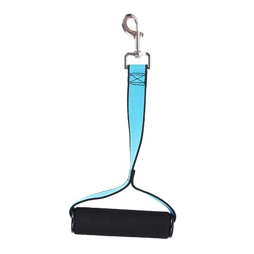 FRCOLOR Hundehalsband-Leine Sky Kurze Hundeleine Trainingshilfen Für Hunde Bequeme Passform Für Mittelgroße Bis Große Hunde Hundebedarf FRCOLOR Hundehalsband-Leine Sky Kurze Hundeleine Trainingshilfen Für Hunde Bequeme Passform Für Mittelgroße Bis Große Hunde Hundebedarf von FRCOLOR