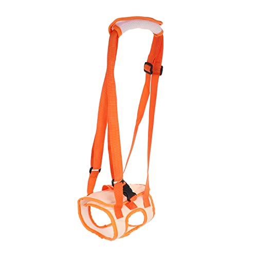 FRCOLOR Stützgürtel Für Ältere Hunde Assistenzhunde Für Behinderte Hunde Atmungsaktives Material Für Komfortablen Langzeitgebrauch FRCOLOR Stützgürtel Für Ältere Hunde Assistenzhunde Für Behinderte Hunde Atmungsaktives Material Für Komfortablen Langzeitgebrauch von FRCOLOR