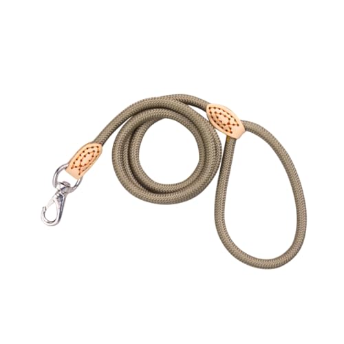 FRCOLOR Haustierleine für Aktive Hunde 1 cm Breit Nylon 1 25 M mit Leder Verbundenes Seil Robuster Clip Beige FRCOLOR Haustierleine für Aktive Hunde 1 cm Breit Nylon 1 25 M mit Leder Verbundenes Seil Robuster Clip Beige von FRCOLOR