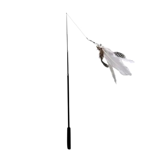 FRCOLOR Teleskop-katzenangel 0 8 M Schwarze Kohlefaser Kätzchen Neckend Interaktives Katzenspielzeug FRCOLOR Teleskop-katzenangel 0 8 M Schwarze Kohlefaser Kätzchen Neckend Interaktives Katzenspielzeug von FRCOLOR
