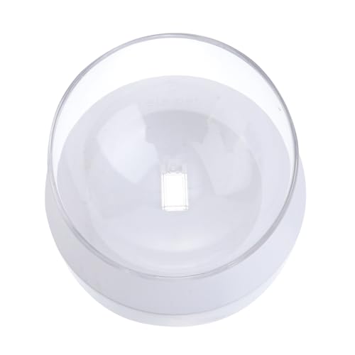 FRCOLOR Katzennäpfe Katzennapf Wassernapf für Haustiere Wassernapf für Katzen Futternapf für Haustiere Halswirbelsäule Fressnapf Wasserschale Haustiernapf Weiß FRCOLOR Katzennäpfe Katzennapf Wassernapf für Haustiere Wassernapf für Katzen Futternapf für Haustiere Halswirbelsäule Fressnapf Wasserschale Haustiernapf Weiß von FRCOLOR