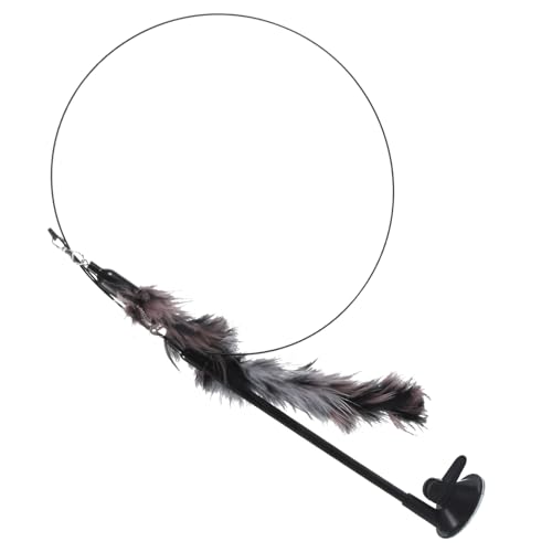 FRCOLOR Interaktives Katzenspielzeug Mit Abnehmbarer Katzenangel Und Starkem Saugnapf Für Kätzchen Und Katzen Aller Fördert Bewegung Und Spielspaß Drinnen FRCOLOR Interaktives Katzenspielzeug Mit Abnehmbarer Katzenangel Und Starkem Saugnapf Für Kätzchen Und Katzen Aller Fördert Bewegung Und Spielspaß Drinnen von FRCOLOR