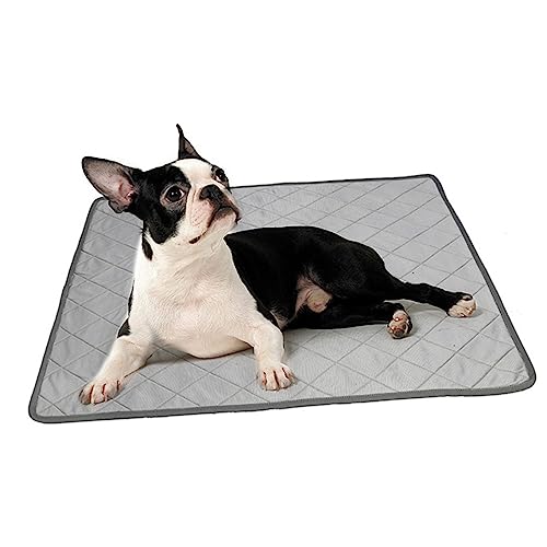 FRCOLOR Kühlmatte für Haustiere Fleecedecken für Haustiere Hund schlafmatte kühlpads kühlkissen Schlafkissen für Haustiere Haustier kühle Matte Sommer Urin-Pad Hundeunterlage FRCOLOR Kühlmatte für Haustiere Fleecedecken für Haustiere Hund schlafmatte kühlpads kühlkissen Schlafkissen für Haustiere Haustier kühle Matte Sommer Urin-Pad Hundeunterlage von FRCOLOR