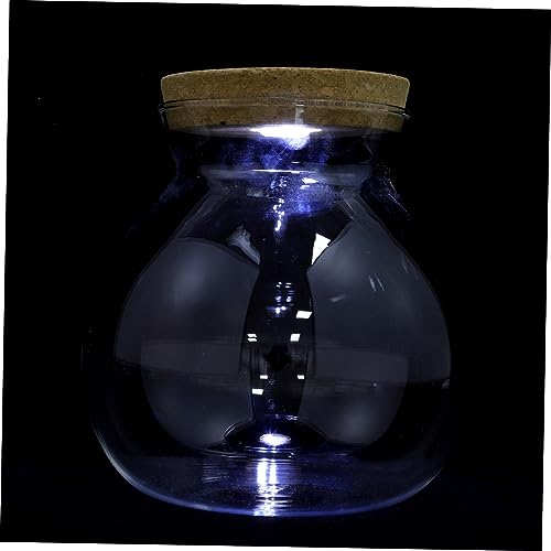 FRCOLOR Landschaftsflasche Ökologische Flasche Glasfisch Kleine Gläser Mit Klarglasgläsern Led-Holzvasen Transparente Fischflasche Blumentopf Aus Borosilikatglas Standluft von FRCOLOR